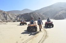 Cabo San Lucas Beach and Desert ATV and Horseback Riding 