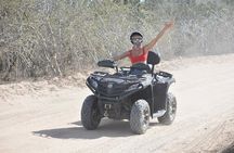 Beach and Desert ATV/ Horseback Combo