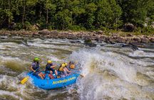 New River Gorge Whitewater Rafting, WV - Lower New Full Day