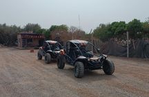 Explore the Marrakech Palm Desert in Buggy