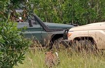 3-Day Maasai Mara Safari Tour in a 4 x4 Land Cruiser Jeep
