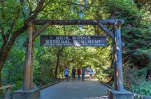 San Francisco, Muir Woods, Sausalito, Optional Alcatraz Tour