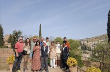 Alhambra Soul:Join a Group,with specialist guide.Skip the line .