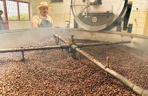 Full Day learning about the Process of the Best Coffee in the World