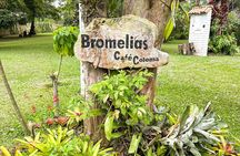 Full Day learning about the Process of the Best Coffee in the World