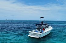 Private 38' Defender Sportfishing/Swim with Pigs in Nassau