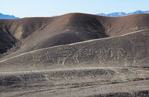 Private Tour Miradores Palpa Nazca with Nazca Lines Overflight