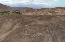 Private Tour Miradores Palpa Nazca with Nazca Lines Overflight