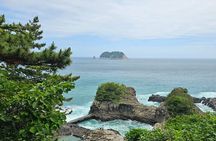 jeju island private taxi tour-West & South of JEJU