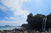 jeju island private taxi tour-West & South of JEJU