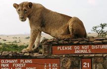 Private Nairobi National Park Day Tour 