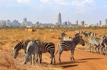 Private Nairobi National Park Day Tour 