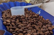 Specialty Coffee Cupping