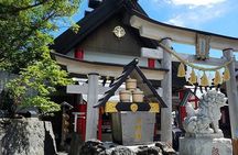 Mt.Fuji, Oishi Park & Arakurayama Sengen Park Bus Tour From Tokyo
