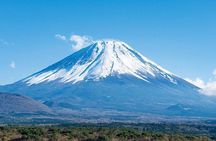 Mt.Fuji, Oishi Park & Arakurayama Sengen Park Bus Tour From Tokyo