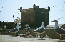 Full Day Tour To Essaouira From Marrakech 