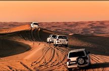 Experience Evening Desert Safari with BBQ Dinner in Dubai