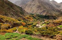 Camel Ride Day On Atlas Mountains And Three Valleys & Waterfalls