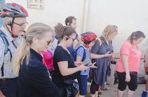 Private Walking Tour of Udaipur with a Professional Guide