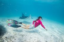 Discover South Ari Atoll - Full Day Tour from Male city