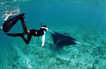 Discover South Ari Atoll - Full Day Tour from Male city