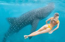 Discover South Ari Atoll - Full Day Tour from Male city