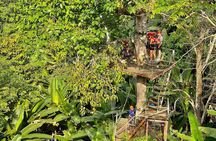 Sky Hawk Zipline Experience in Chiang Mai