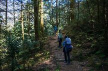 Private Annapurna Circuit Trek 
