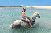 Bamboo Rafting & Horseback Ride n Swim Guided Tour in Montego Bay