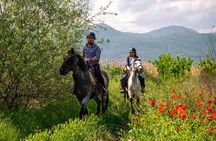 Half-Day of Horseback Adventure with Wine Tasting