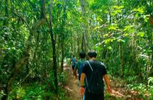Best Trekking Tour In Phu Quoc (Đa Ngon Waterfall)