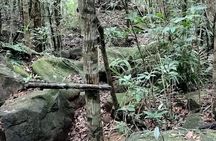 Best Trekking Tour In Phu Quoc (Đa Ngon Waterfall)