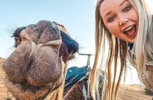 10 Days from Casablanca: The Best of Morocco