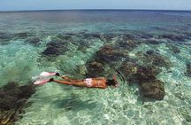 For Cruise Passengers: 4 Hour Boat Tour of St Maarten/St Martin