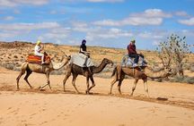 4×4 Jeep Desert Safari Tour with Lunch and Camel Ride