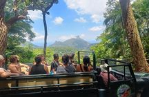 Half-Day Jeep Tour in Rio's Tijuca Rainforest and Scenic