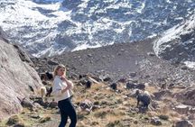Full Day Discovery of Ouzoud Waterfalls from Marrakech