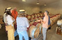 Best Private Wine Tours of Napa Valley Sonoma for 4 to 8 people