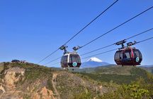 Mt. Fuji & Hakone Tour Tokyo hotel pick-up by Grayline
