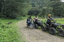  ATV, Bamboo Rafting, Horseback Ride From Montego Bay- Private