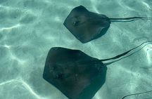 VIP Stingray City Adventure – Just for You