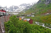 Self-guided day tour From Bergen to Flam All Inclusive roundtrip