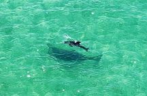 Kayaking Clear through Clearwater