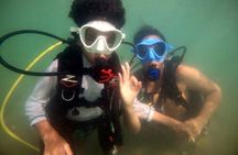 Beginner SCUBA Diving in Old San Juan