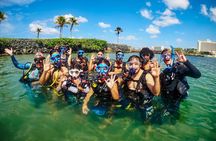 Beginner SCUBA Diving in Old San Juan