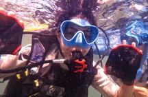 Beginner SCUBA Diving in Old San Juan