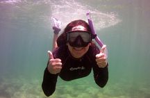 Guided Snorkel Experience in Fort Lauderdale
