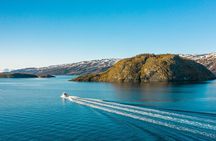 Alta: 2 Hours Guided Adventure Cruise in Alta Fjord