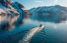 Alta: 2 Hours Guided Adventure Cruise in Alta Fjord