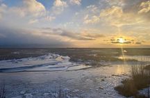 Glacier View & Wildlife Adventure Tour